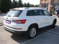 Skoda Kodiaq 2,0 TDI SCR 4x4 Style DSG Weiß - thumbnail 10