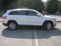 Skoda Kodiaq 2,0 TDI SCR 4x4 Style DSG Weiß - thumbnail 9