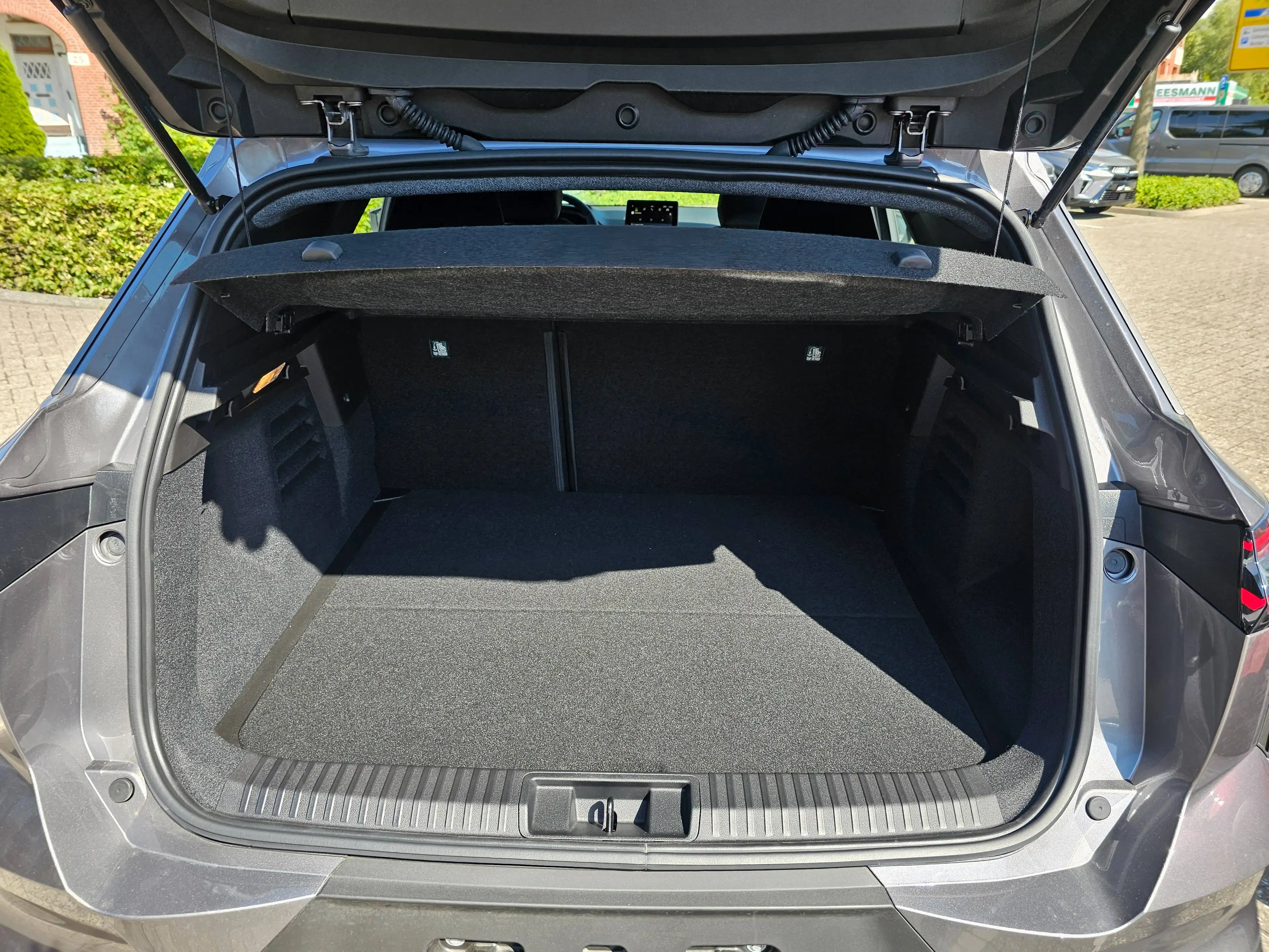 Mitsubishi Grandis Diamant PLUS — photo 8