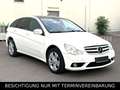 Mercedes-Benz R 320 CDI 4M AMG|7SITZER|PANO|KAMERA|HARMAN&K| Weiß - thumbnail 2