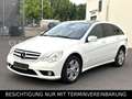 Mercedes-Benz R 320 CDI 4M AMG|7SITZER|PANO|KAMERA|HARMAN&K| Weiß - thumbnail 1