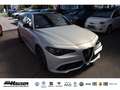 Alfa Romeo Giulia Competizione 2.0 Turbo AT8 Q4 PANO HARMAN-KARDON E Gris - thumbnail 4