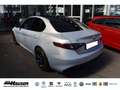 Alfa Romeo Giulia Competizione 2.0 Turbo AT8 Q4 PANO HARMAN-KARDON E Gris - thumbnail 6