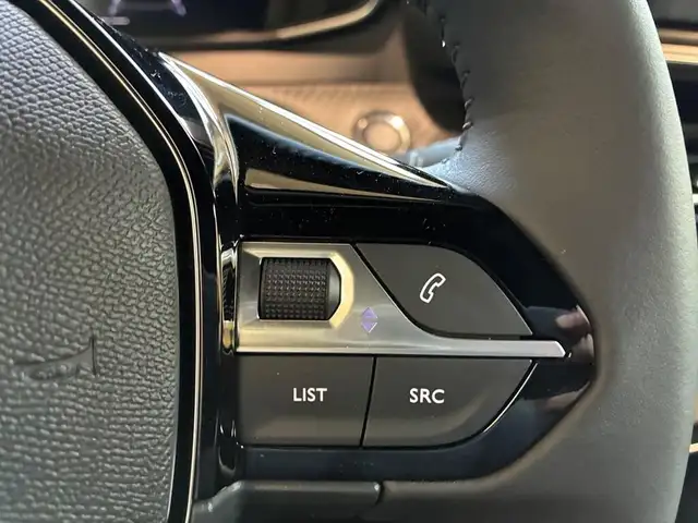 Peugeot 2008 view 14