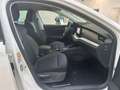 Skoda Octavia Combi 2.0TDI DSG Tour Navi ACC LED SHZ Weiß - thumbnail 18