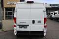 Fiat Ducato Ducato BV L3H2 180 AUT Absolut Mega Voll !!!!!!... Weiß - thumbnail 9