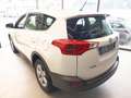 Toyota RAV 4 RAV4 2.0 D-4D 2WD Style Bianco - thumbnail 14