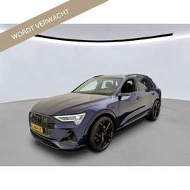 55 Quattro advanced Pro Line + S-Line TREKHAAK 22I