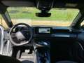 Lancia Ypsilon nuova lx 1.2 100cv ibrida Bianco - thumbnail 5
