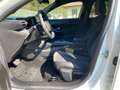 Lancia Ypsilon nuova lx 1.2 100cv ibrida Bianco - thumbnail 6