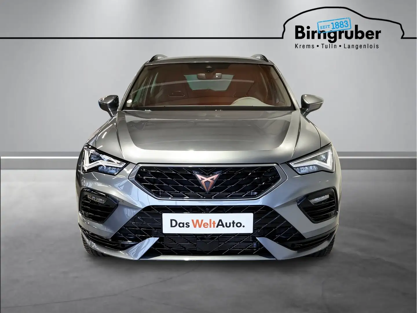 CUPRA Ateca 1.5 TSI DSG 150 Grau - 2