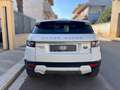 Land Rover Range Rover Evoque 2.2 TD4 Prestige Blanc - thumbnail 5