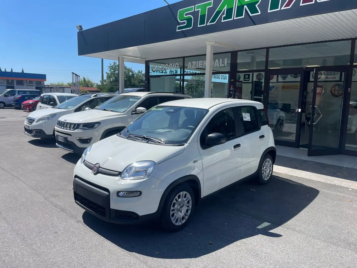 Fiat Panda Panda 1.0 FireFly S&S Hybrid Pandina Blanc - 2