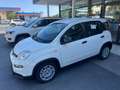 Fiat Panda Panda 1.0 FireFly S&S Hybrid Pandina Blanc - thumbnail 13