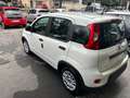 Fiat Panda Panda 1.0 FireFly S&S Hybrid Pandina Blanc - thumbnail 12