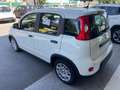 Fiat Panda Panda 1.0 FireFly S&S Hybrid Pandina Blanc - thumbnail 10