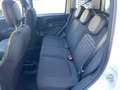 Fiat Panda Panda 1.0 FireFly S&S Hybrid Pandina Blanc - thumbnail 20