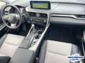Lexus RX 450h h Style-Edition*PREMIUM NAVI*HUD*16.900KM* srebrna - thumbnail 14