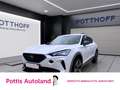 CUPRA Formentor 1.5 TSI AHK NAVI SITZHZG PDC LED Weiß - thumbnail 1
