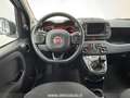 Fiat Panda 1.0 FireFly S&S Hybrid Bianco - thumbnail 10