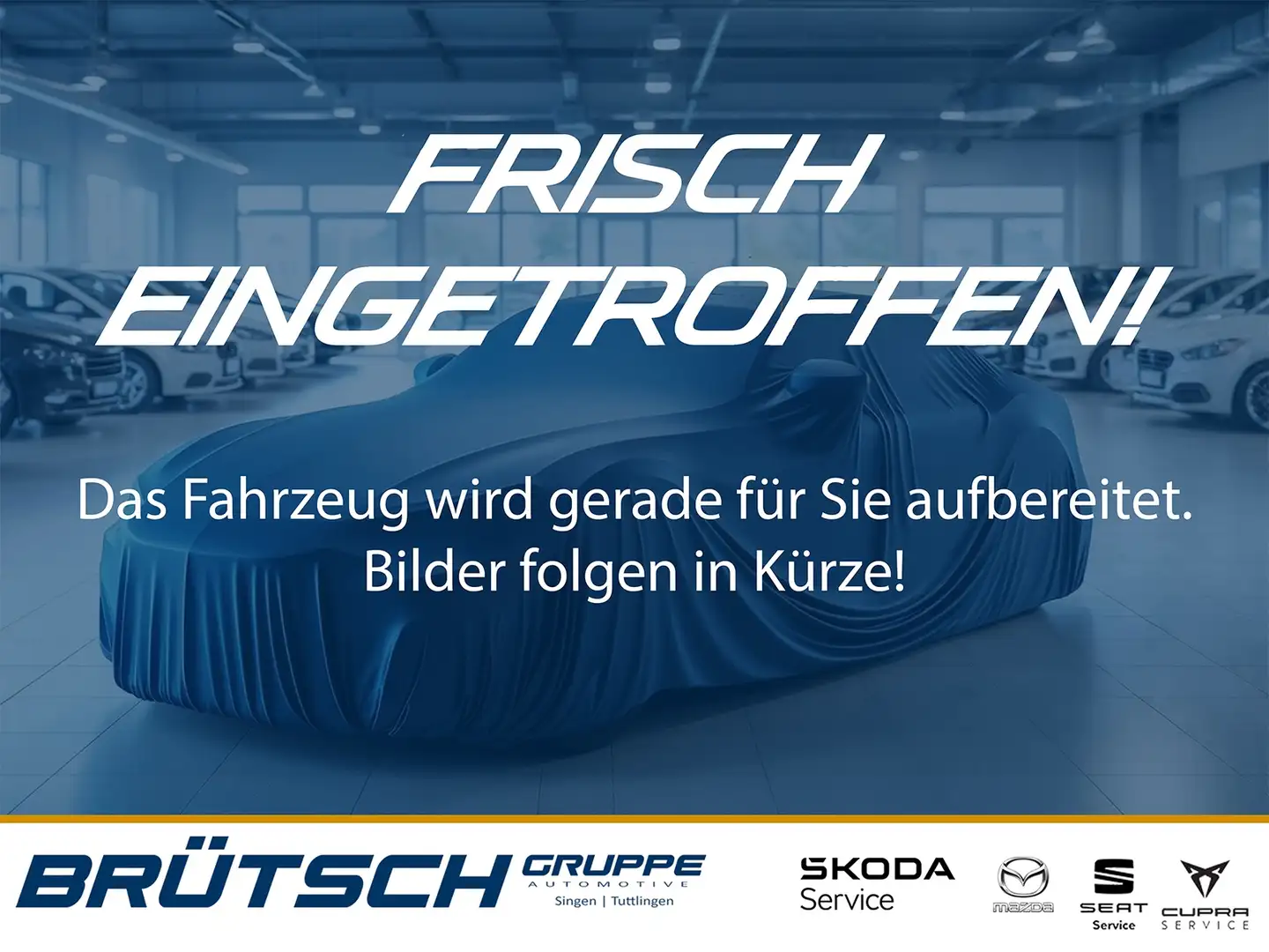 Volkswagen Golf VIII 2.0 TSI GTI DSG / PANO / MATRIX / HEAD-UP / S Weiß - 1