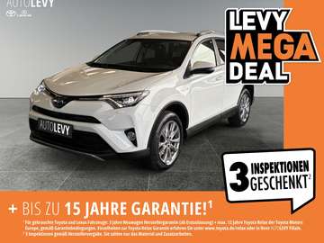 RAV4 Hybrid 4x4 Team D *Navi*