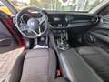 Alfa Romeo Stelvio Stelvio 2.2 t Business rwd 180cv auto  SERVICE Rosso - thumbnail 12