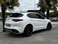 Alfa Romeo Stelvio 2.9 V6 510CH QUADRIFOGLIO Q4 AT8 Blanc - thumbnail 3