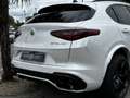 Alfa Romeo Stelvio 2.9 V6 510CH QUADRIFOGLIO Q4 AT8 Blanc - thumbnail 5
