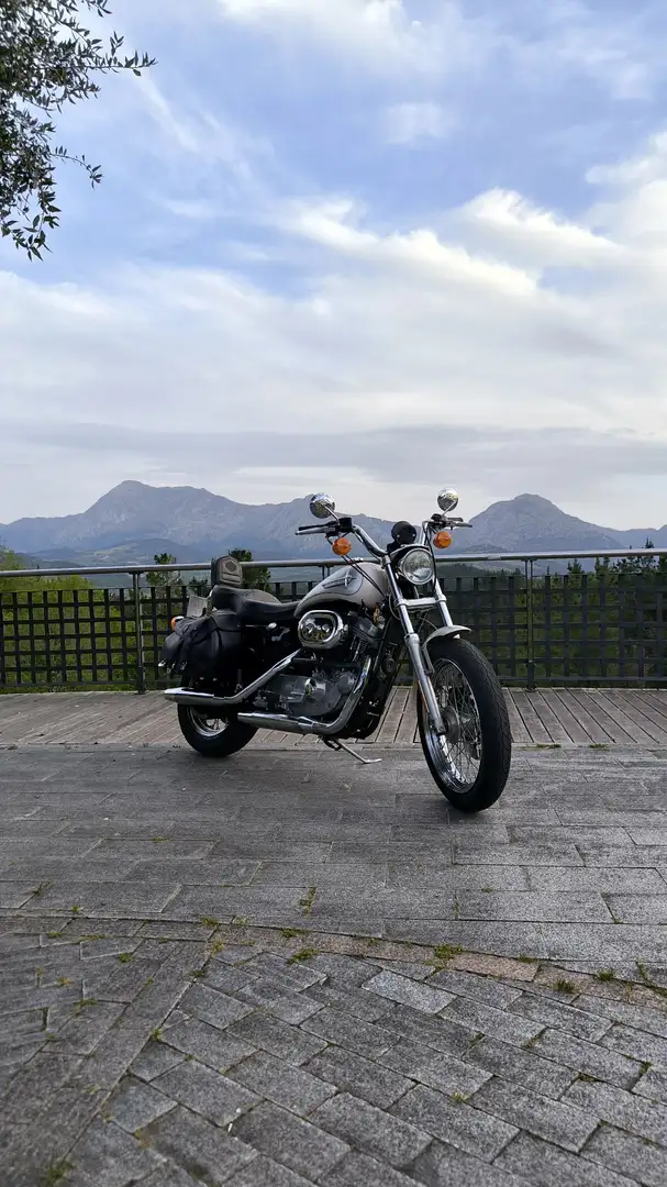 Harley-Davidson Sportster 883 - 1