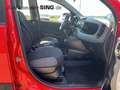 Fiat Panda Tagfahrlicht Servo 86 PS Benzin/Erdgas Rot - thumbnail 15