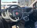 Fiat Panda Tagfahrlicht Servo 86 PS Benzin/Erdgas Rot - thumbnail 12
