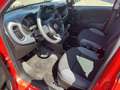 Fiat Panda Tagfahrlicht Servo 86 PS Benzin/Erdgas Rot - thumbnail 10