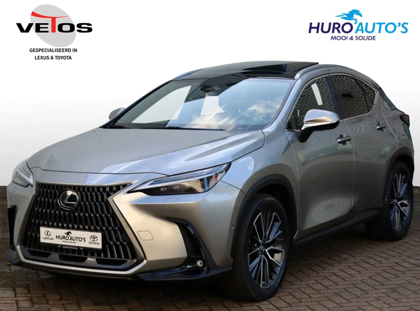 Lexus NX 350h AWD Executive Line | President | Mark Levinson | P Gris - 1