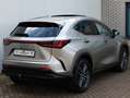 Lexus NX 350h AWD Executive Line | President | Mark Levinson | P Gris - thumbnail 43