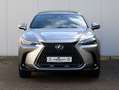 Lexus NX 350h AWD Executive Line | President | Mark Levinson | P Gris - thumbnail 2