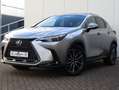 Lexus NX 350h AWD Executive Line | President | Mark Levinson | P Gris - thumbnail 11