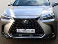Lexus NX 350h AWD Executive Line | President | Mark Levinson | P Gris - thumbnail 40