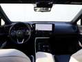 Lexus NX 350h AWD Executive Line | President | Mark Levinson | P Gris - thumbnail 16