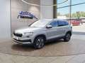 Skoda Karoq 1.5 TSI ACT Selection Allwetter/LED/WP Gris - thumbnail 1