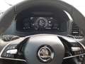Skoda Karoq 1.5 TSI ACT Selection Allwetter/LED/WP Gris - thumbnail 19