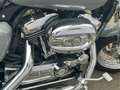 Harley-Davidson Sportster 1200 XL 1200 C Rick Umbau Gris - thumbnail 4