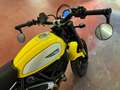 Ducati Scrambler 800 icon Yellow - thumbnail 4