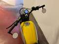 Ducati Scrambler 800 icon žuta - thumbnail 12