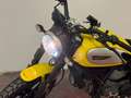 Ducati Scrambler 800 icon žuta - thumbnail 1