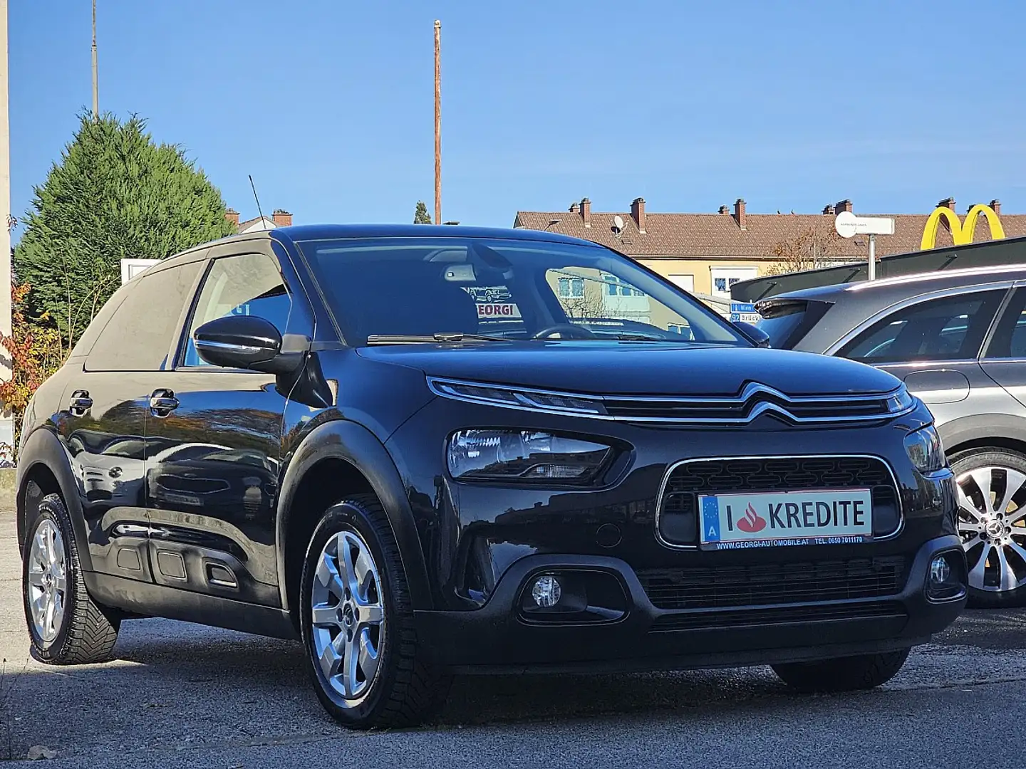 Citroen C4 Cactus BlueHDI 100 S&S Shine Pickerl + Service-NEU WR ... Schwarz - 1