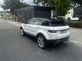 Land Rover Range Rover Evoque Range Rover Evoque TD4 Aut. HSE/4x4/Full History Wit - thumbnail 2