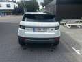 Land Rover Range Rover Evoque Range Rover Evoque TD4 Aut. HSE/4x4/Full History Wit - thumbnail 4
