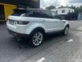 Land Rover Range Rover Evoque Range Rover Evoque TD4 Aut. HSE/4x4/Full History Wit - thumbnail 5