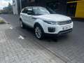 Land Rover Range Rover Evoque Range Rover Evoque TD4 Aut. HSE/4x4/Full History Wit - thumbnail 12